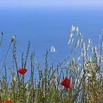 Apartamento Danijela Mljet - With Balcony And Sea View