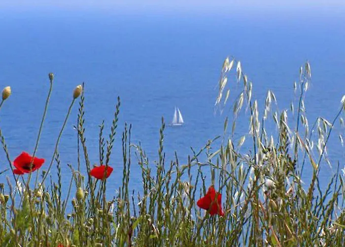 Διαμέρισμα Danijela Mljet - With Balcony And Sea View