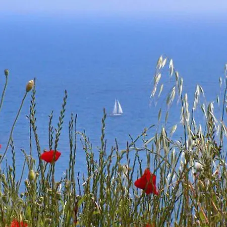 Апартаменты Danijela Mljet - With Balcony And Sea View